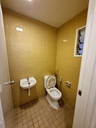 The Cairnhill (D9), Condominium #592521611
